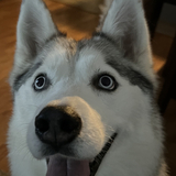 Entry image for Lenny