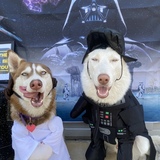 Entry image for Willow &Yeti