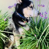 Entry image for Cabo