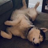 Entry image for Prince Ranier 