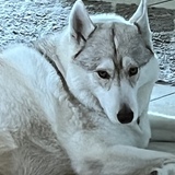 Entry image for Ghost