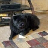 Entry image for tessa