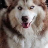 Entry image for Nola