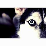 Entry image for Akira 