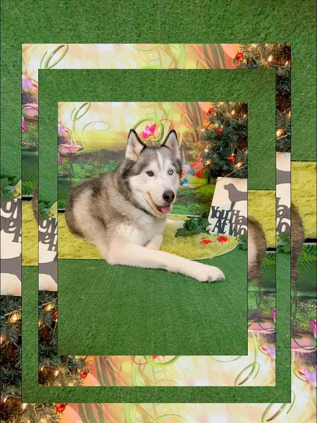 Entry image for Atlas. Clicking this image will show a larger photo