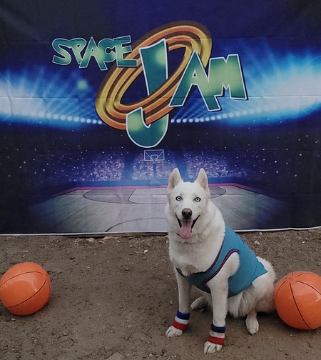 Entry image for Halo. Clicking this image will show a larger photo