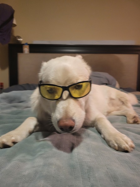 Entry image for Tres Leche . Clicking this image will show a larger photo