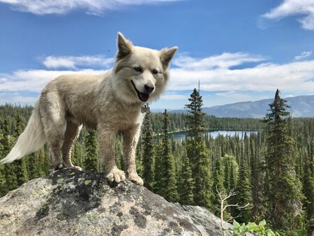 Entry image for Tessa (Princess of Downey). Clicking this image will show a larger photo