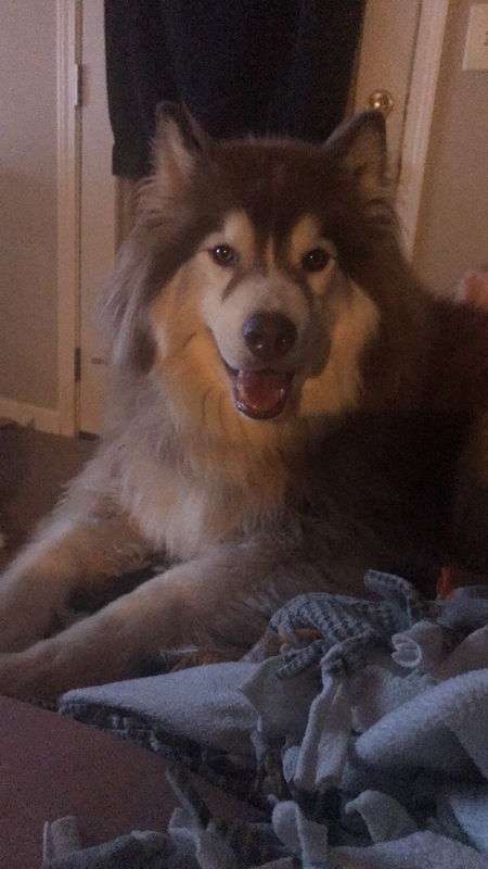 Entry image for Kado. Clicking this image will show a larger photo