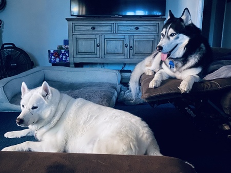 Entry image for Aliki & Hunter Spindel. Clicking this image will show a larger photo