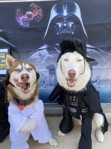 Entry image for Willow &Yeti. Clicking this image will show a larger photo