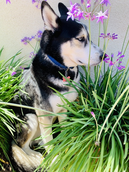 Entry image for Cabo. Clicking this image will show a larger photo