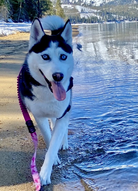 Entry image for Hana. Clicking this image will show a larger photo