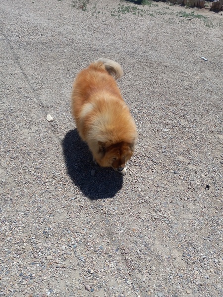 Entry image for cici. Clicking this image will show a larger photo