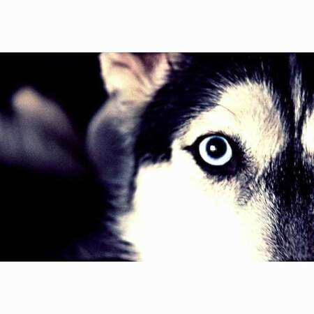 Entry image for Akira . Clicking this image will show a larger photo