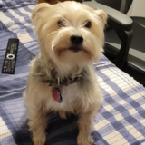 Entry image for Charlie