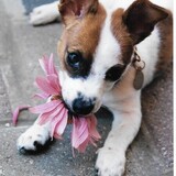 Entry image for Maddie