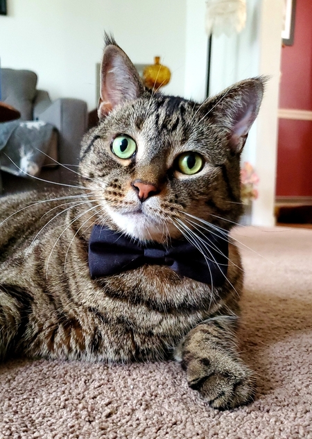 Entry image for Tucker. Clicking this image will show a larger photo
