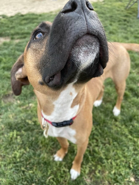 Winston