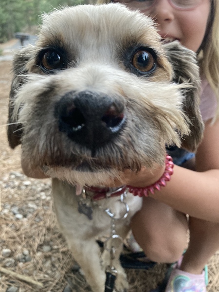Coco-Boo