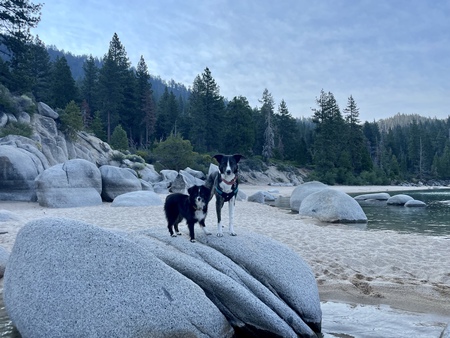 Niko & Rosie