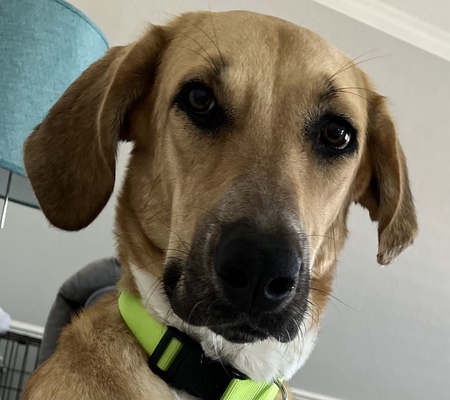 Maggie