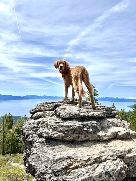 Maggie