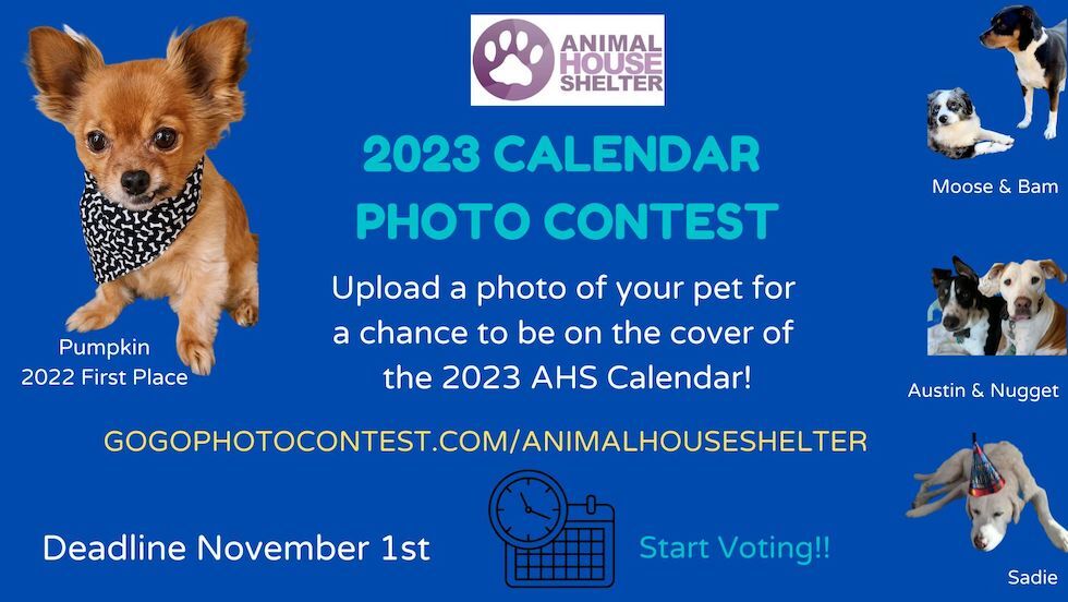 Animal House Shelter | Animal House Shelter's 2023 Calendar Contest Animal House Shelter | Animal House Shelter's 2023 Calendar Contest