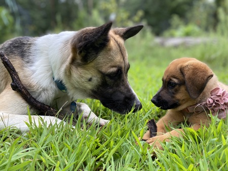 Juju and Zoey