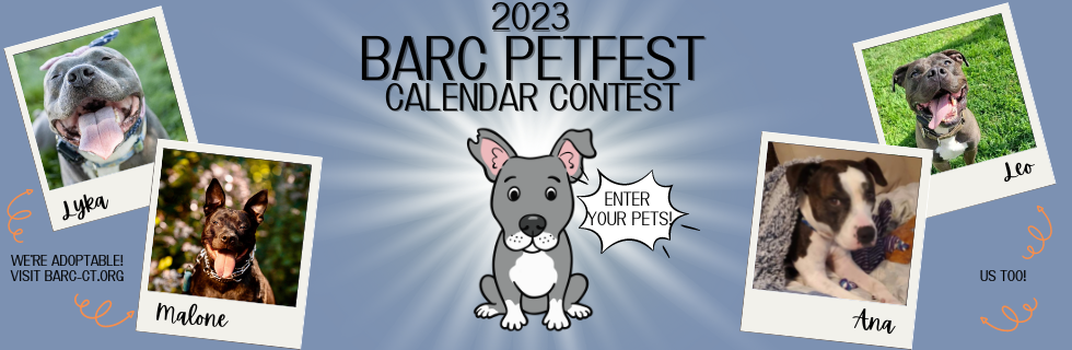 Banner for BARC 2023 Petfest Calendar Contest
