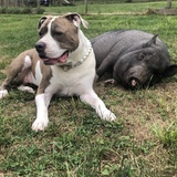 Entry image for Trudy