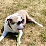 Entry image for Tilly