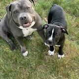 Entry image for Emma & Marshall 