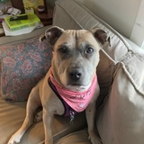 Entry image for Lucy