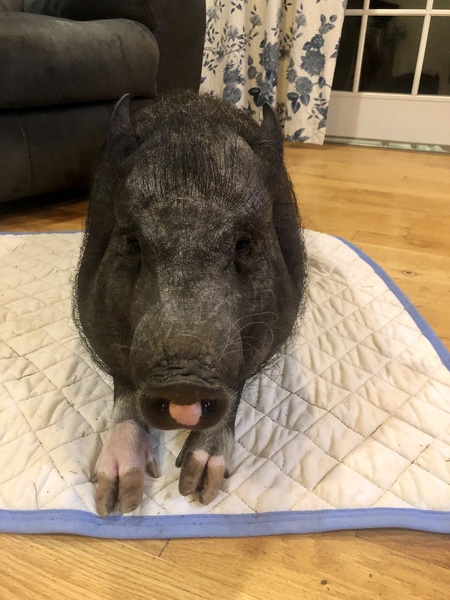 Entry image for Stu. Clicking this image will show a larger photo