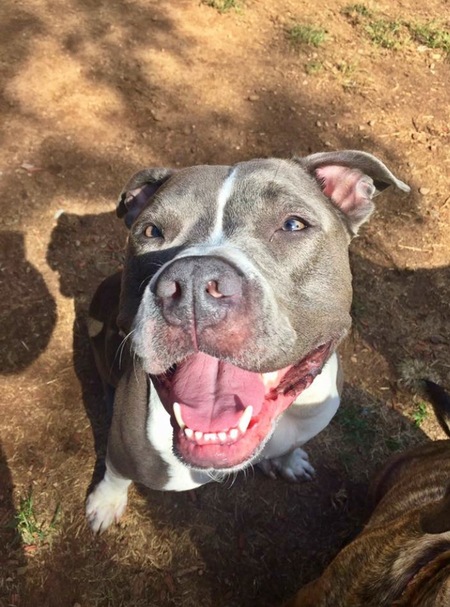 Entry image for D . Clicking this image will show a larger photo