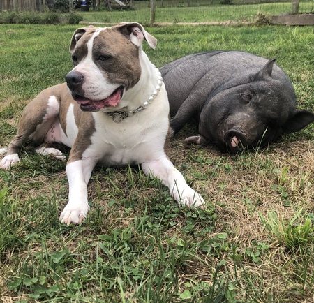 Entry image for Trudy. Clicking this image will show a larger photo