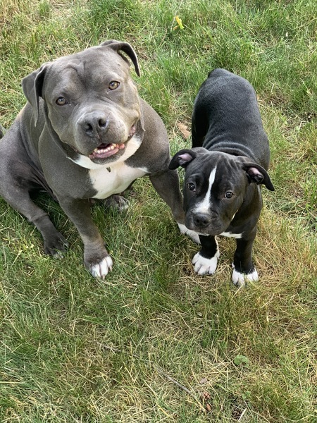 Entry image for Emma & Marshall . Clicking this image will show a larger photo