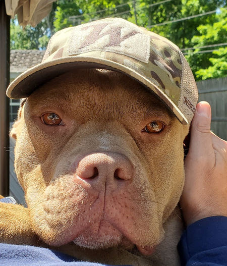 Entry image for Copper. Clicking this image will show a larger photo