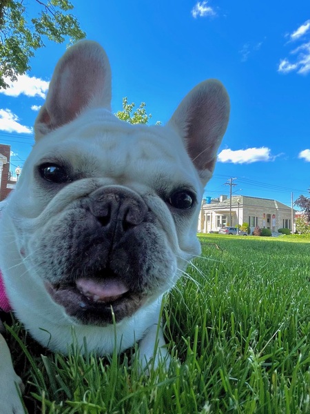 Entry image for Yoli. Clicking this image will show a larger photo