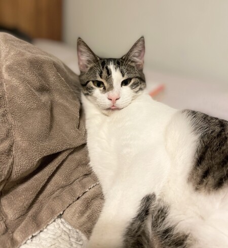 Minnie