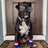 Entry image for Stanley 