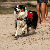 Entry image for Brooklyn