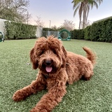 Entry image for Skye