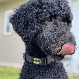 Entry image for Juliet