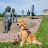 Entry image for Winnie