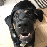 Entry image for Neutron