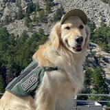 Entry image for Whiskey