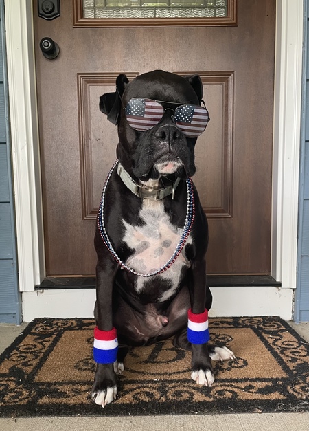 Entry image for Stanley . Clicking this image will show a larger photo