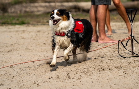 Entry image for Brooklyn. Clicking this image will show a larger photo